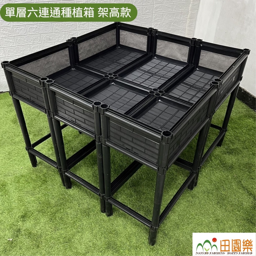 育材種植箱 單層六連通箱 架高款 正方形 免彎腰組合 種菜箱 組合式種植箱 陽台種菜 種菜神器