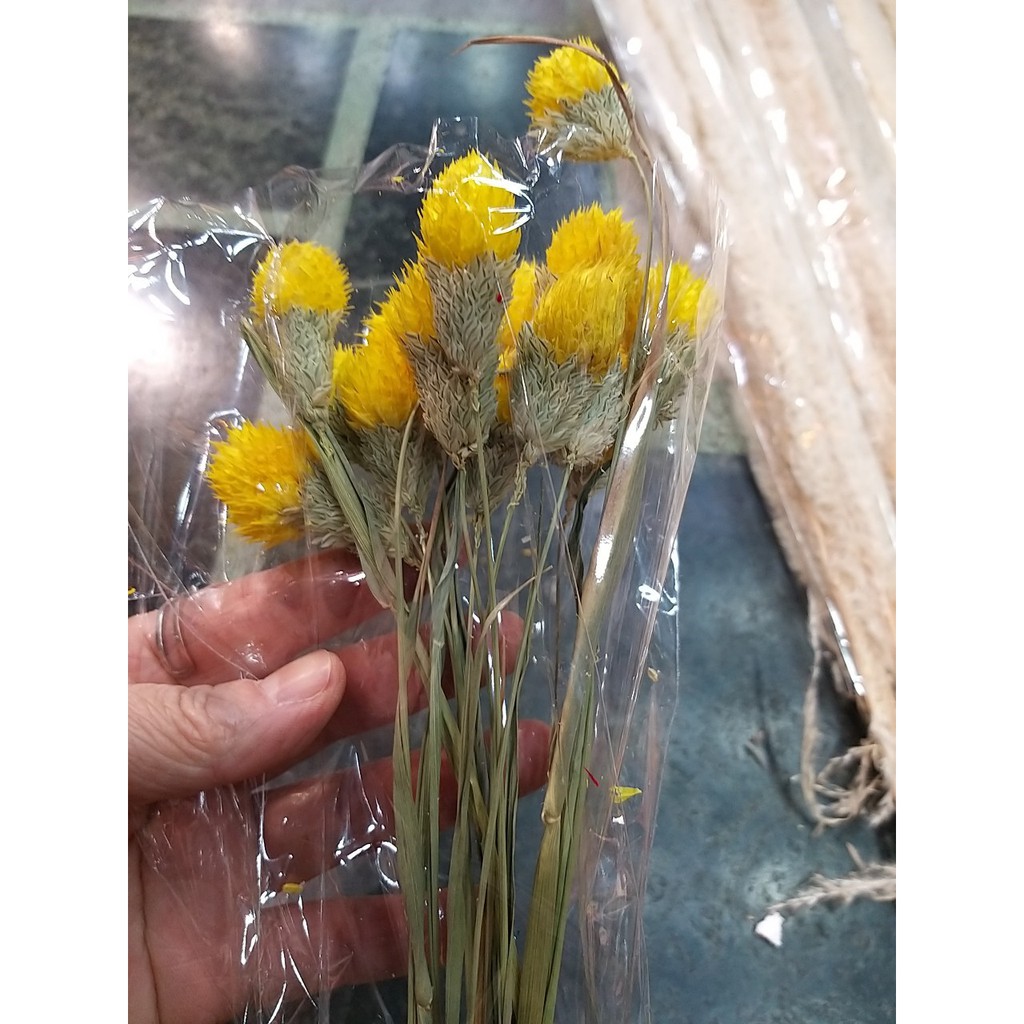 千日紅乾燥花的價格推薦第3 頁 21年8月 比價比個夠biggo