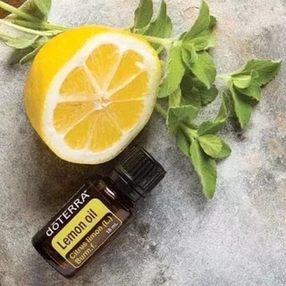 《現貨》本月促銷優惠～doTERRA 多特瑞 🍋檸檬15ml精油 原廠公司貨 期效最新