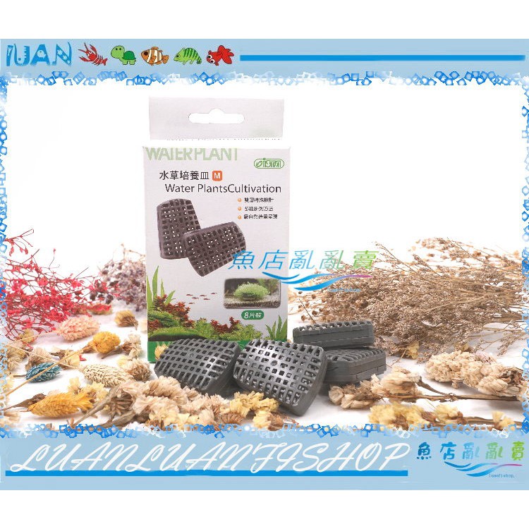 台灣ista伊士達水草培養皿 M 8入 水草栽培固定器 墨絲 鹿角苔等 魚店亂亂賣 I 866 蝦皮購物