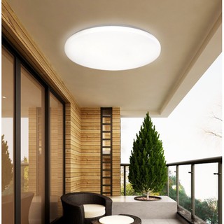 LED 吸頂燈 純白型 單色溫16W 22W 28W 30W 32W 40W 60W 80W 陽臺 浴室 臥室 客廳