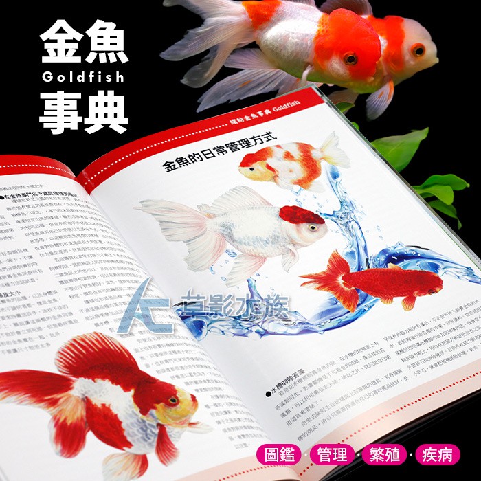 Ac草影 Aquanet 19 繽紛金魚事典 一本 Bta 蝦皮購物