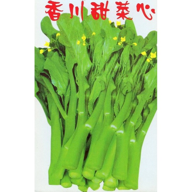 【大包裝蔬菜種子L181】香川甜菜心，風味獨特的健康蔬菜！