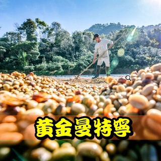 黃金曼特寧《中焙／重深焙》【半磅裝。1磅裝咖啡豆】