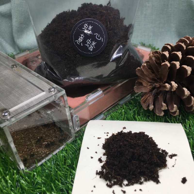 Ants Earth Ae蟻土 蝦皮購物
