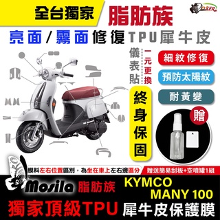 光陽 KYMCO Many 100 110 全部位 脂肪族 犀牛皮 TPU 儀表貼 螢幕貼 imany 鍍客doker
