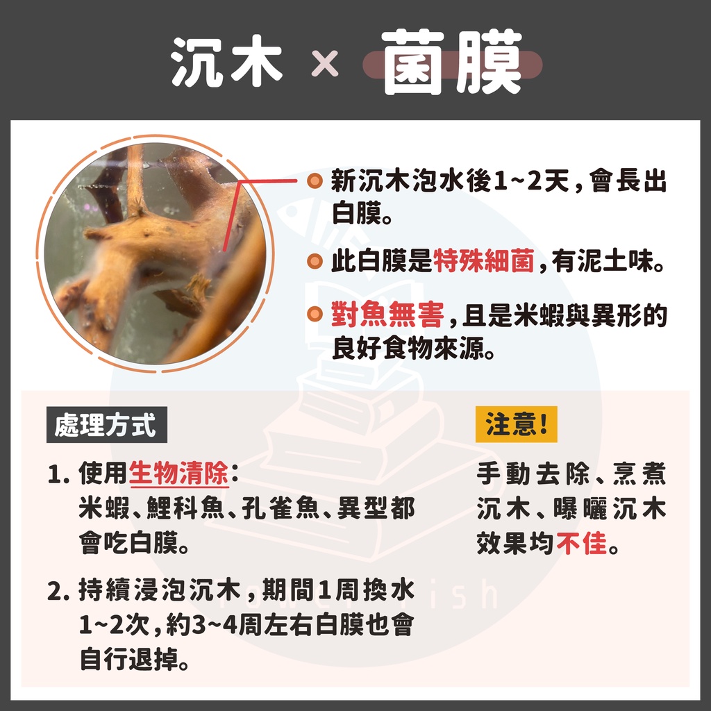 30立方缸杜鵑木 黃金流木 沉木1 5尺缸 2尺缸適用全新水族缸造景主景水草造景 蝦皮購物