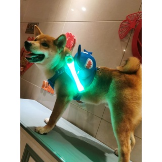 <山姆嚴選> 寵物 寵物項圈 寵物夜光 LED燈 可換電池