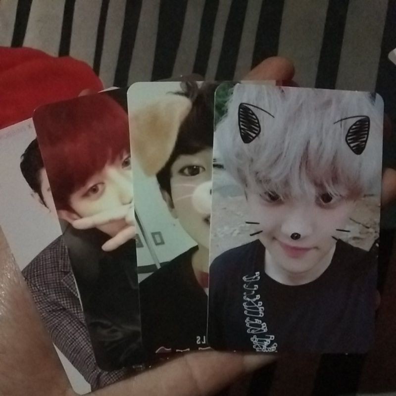 Pc 燦烈的TEMPO WINTER EXACT SUHO 為您唱歌