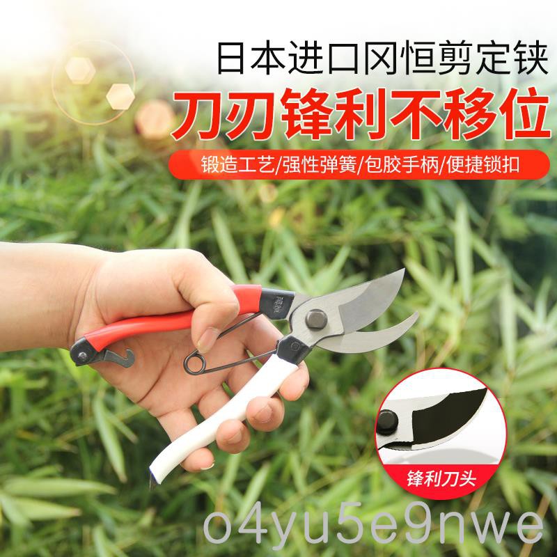 下殺岡恒剪刀岡恒修枝剪剪定鋏果園修枝剪刀果樹修剪園林剪包郵o4yu5e9nwe 蝦皮購物
