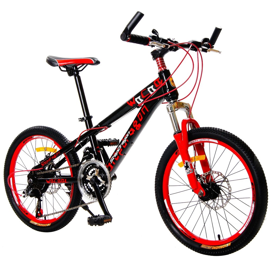 Stepdragon 史特龍小悍馬日本shimano 北極光20吋21速避震車sms H301 蝦皮購物