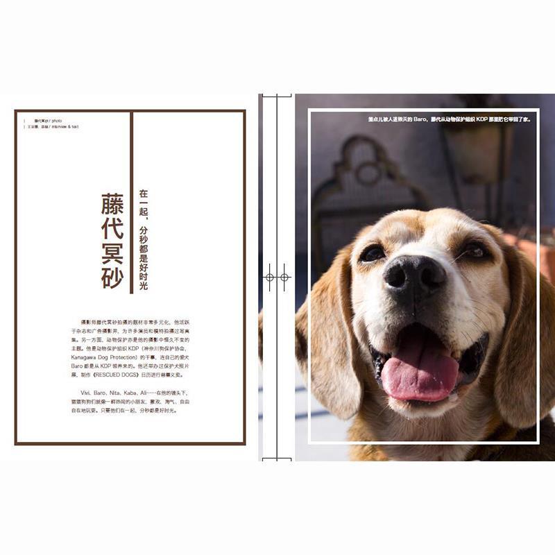 知日11犬滿載義氣與感動的日本犬物語中信出版圖書暢銷書正版書籍 蝦皮購物