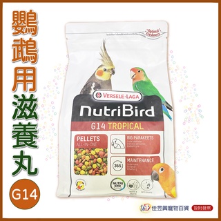 有效期限2024年05月10日│G14 鸚鵡用濃縮滋養丸│凡賽爾│寵物鳥、鸚鵡用│輔助食品