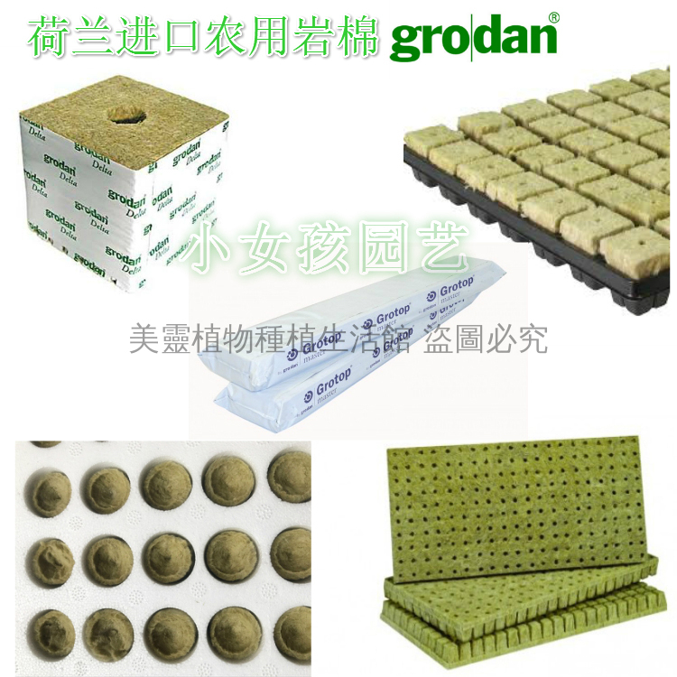美靈生活館 荷蘭進口grodan農用岩棉塊無土栽培岩棉條扦插育苗塊種植岩棉育苗綿塊營養岩棉 蝦皮購物