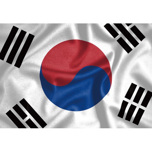台旺文創 - 韓國國旗拼圖(126片拼圖) TW-126-054