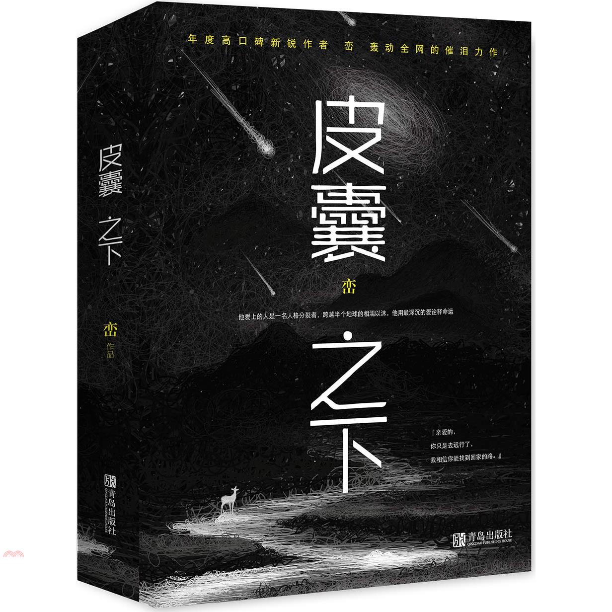 皮囊之下（簡體書）