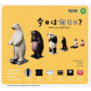 【荷包君】單售 熊貓之穴 站上TANITA體重計的動物們 量體重 秤重 體脂肪 轉蛋 扭蛋