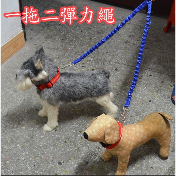 【Lucky家】一拖二彈力牽引繩，雙頭狗狗拉繩  寵物牽引繩，一牽二雙頭繩，防爆衝牽引繩