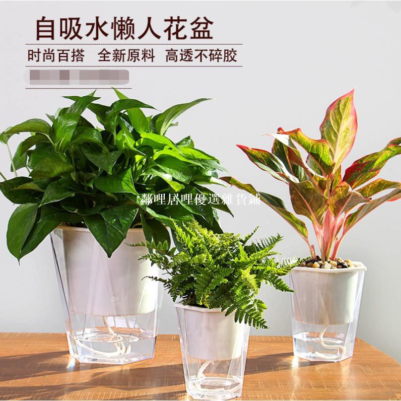 透明塑膠花盆的價格推薦第2 頁 21年7月 比價比個夠biggo