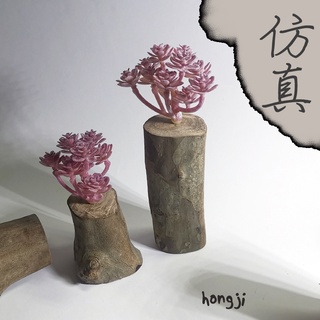 多肉 模擬多肉 微景觀 P62 假多肉植物 辦公室小物 療癒紓壓生日禮物拍照道具居家裝飾咖啡屋商店擺飾迷你木頭底座盆栽