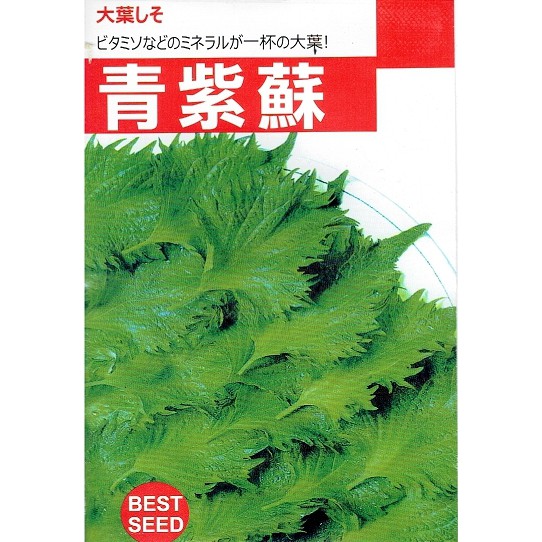 四季園  青紫蘇 新合成種子 香藥草種子 中包裝種子 每包約2克