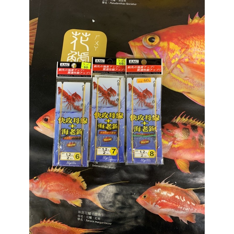 三重東區 展鷹釣蝦線組快攻母線 海老鉤長短鉤線組釣蝦母線 蝦皮購物