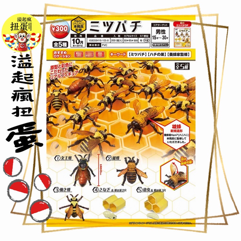 ♧溢起瘋扭蛋♧ 10月預購 EPOCH 轉蛋 扭蛋 Hani2-蜜蜂模型與巢穴 蜜蜂 蜂蛹 巢穴 全5款