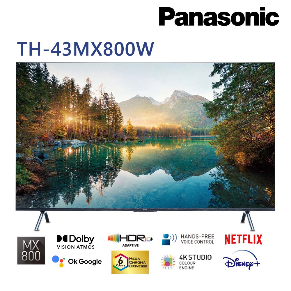國際牌 43吋4K Google TV液晶顯示器 TH-43MX800W 無安裝 大型配送 大型配送
