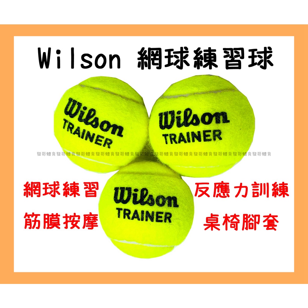 台北小巨蛋店🇹🇼 Wilson Slazenger 無壓網球 網球 練習球 按摩球 桌椅套 硬度高 TRAINER