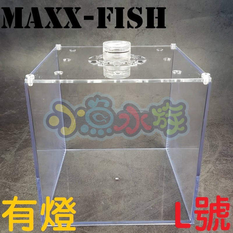 【小魚水族】【L號、有燈款】超白缸 壓克力缸 拍照缸 懶人魚缸 鬥魚缸 孔雀缸 小魚缸