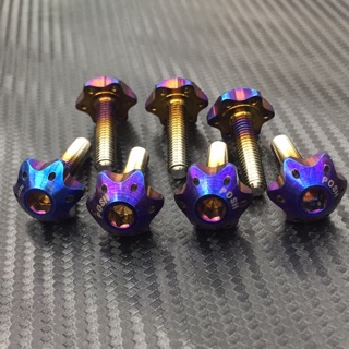🥳阿德騎士部品 POSH 鈦合金 星型 內六角螺絲 螺絲 6x25
