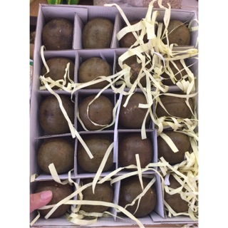 羅漢果茶新貨到一盒20顆現貨-蝦皮代開發票-華崴嚴選
