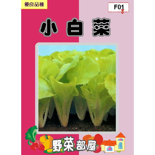 【萌田種子~蔬菜種子】F01小白菜種子23公克 ,又名"土白菜" ,容易栽培 ,每包16元~
