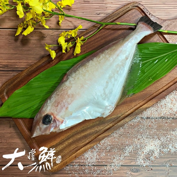 【大嚐鮮】野生剝皮魚 / 非國外進口 / 野生 / 肉質鮮嫩少刺 /  海鮮宅配 / 團購批發 / 2000免運