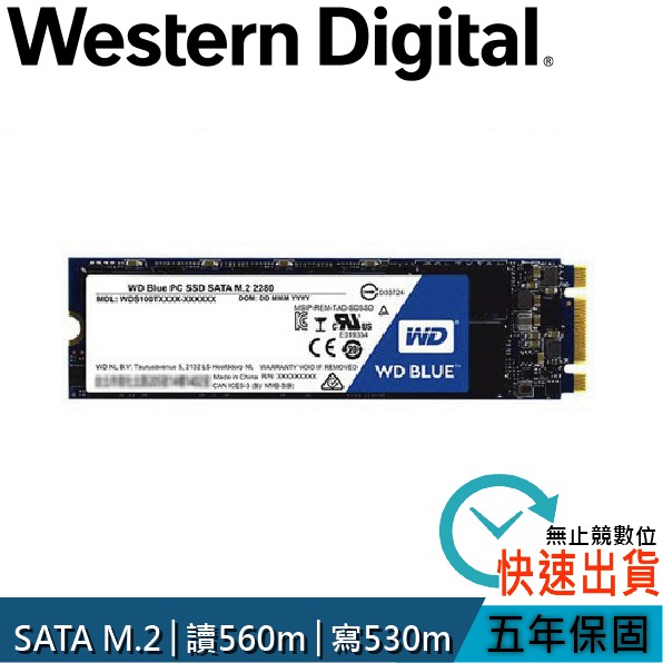WD BLUE 藍標 SSD 500GB 1TB M.2 SATA 2280 固態硬碟 五年保固