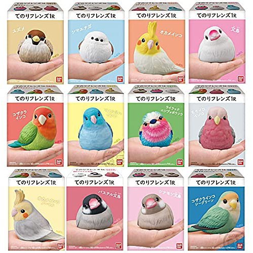 日本 BANDAI 掌上好朋友 掌上小鳥 一盒12個 小鳥 白文鳥 鸚鵡 麻雀 山雀 盒玩 食玩 模型 萬代 小鳥盒玩