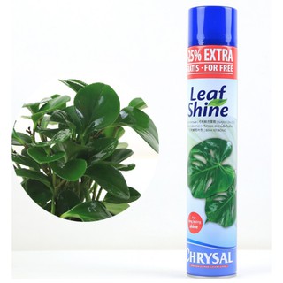 【現貨】可利鮮 Chrysal 亮葉劑 750ml 荷蘭進口 葉面亮光劑 去除葉面灰塵 增加葉面亮度 植物保護劑