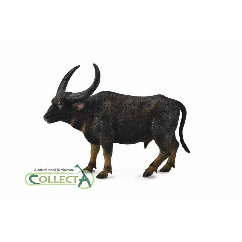動物模型 CollectA 亞洲水牛