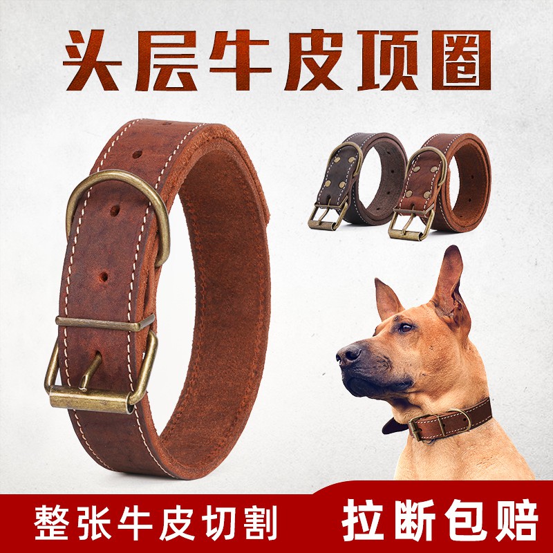 驚喜購物牛皮狗狗項圈金毛泰迪寵物小型犬中型犬大型犬真皮狗頸圈脖圈用品 蝦皮購物