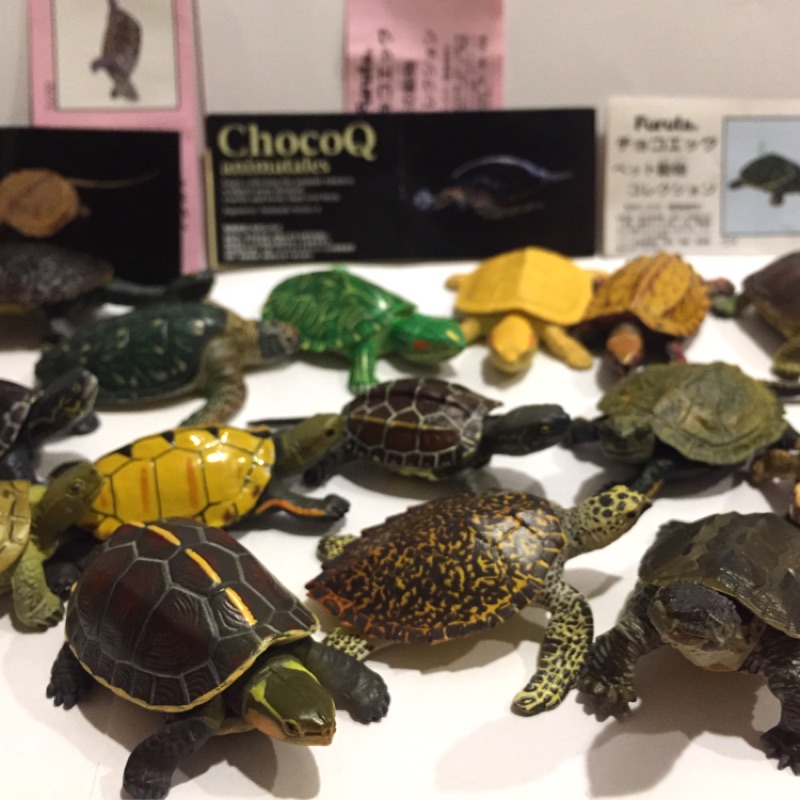 海洋堂  巧克力蛋 拼裝 公仔 烏龜 海龜 鱷龜 巴西龜 蛇龜 龜 爬蟲類 轉蛋 扭蛋 擬真 動物