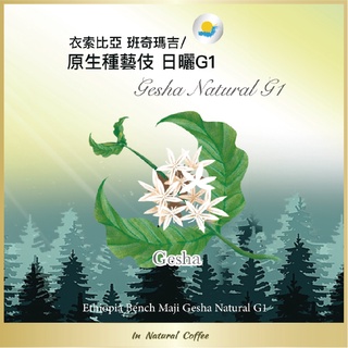 陽光夏 濾掛式咖啡 (淺烘焙) / 衣索比亞 班奇瑪吉 原生種藝伎 日曬G1