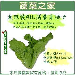 蔬菜之家滿額免運【00A11】大包裝A11.括菜青種子130克(約4萬顆)