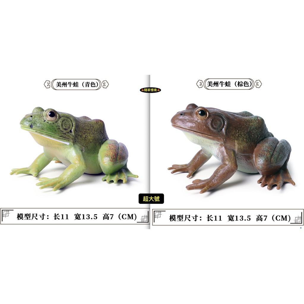 隨草憶境 9款 仿真青蛙牛蛙角蛙樹蛙箭毒蛙蘆葦蛙成長週期兩棲動物模型野生動物兒童益智spg 蝦皮購物