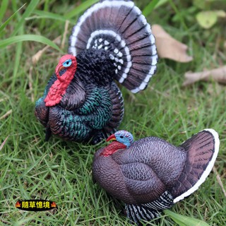 現貨2款 仿真北美火雞七面鳥吐綬雞雞家禽動物模型野生動物兒童玩具益智公仔spg 蝦皮購物