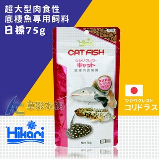 【AC草影】Hikari 高夠力 超大型肉食性底棲魚專用飼料（75g）【一包】大型魚飼料 魟魚 恐龍魚