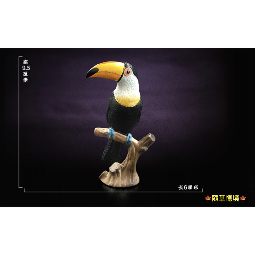 巨嘴鸟 優惠推薦 21年3月 蝦皮購物台灣