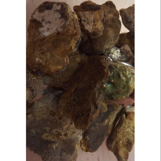 蝦皮購物 花得更少買得更好