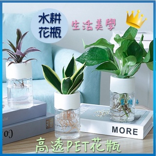 臺灣現貨✨B198 水耕瓶 PET水耕瓶 水耕容器 水耕花器 塑膠瓶 花瓶 花器 魚菜共生 水耕植物 盆栽 水耕空瓶