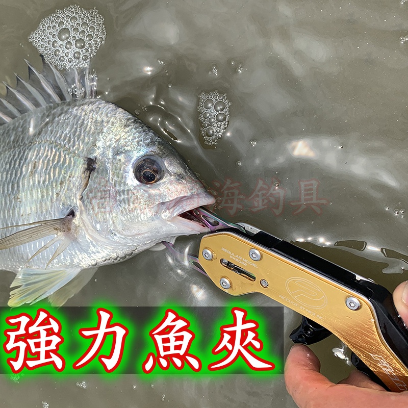 滿額免運🔥 PROX PX-8062 魚夾 路亞 海鱸 岸拋 PX8062 夾魚器 控魚器 夾魚 路亞竿 不銹鋼 必備