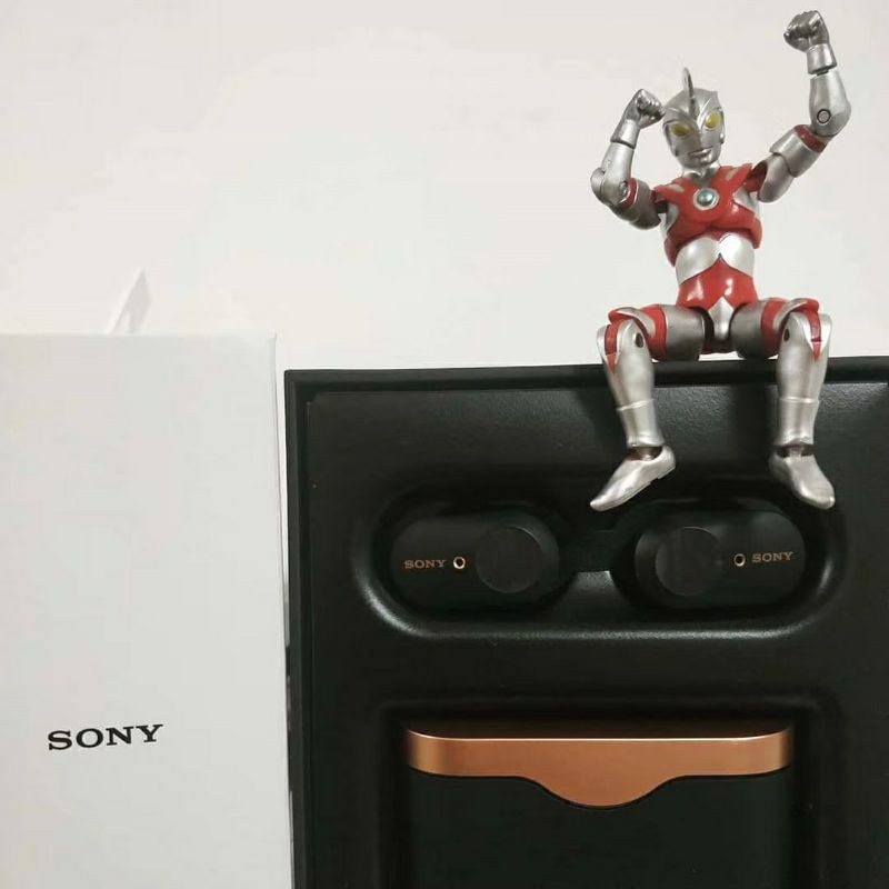 【SONY 索尼】WF-1000XM3 真無線藍牙降噪耳機